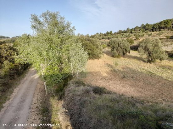 Suelo rústico en venta  en Horta de Sant Joan - Tarragona