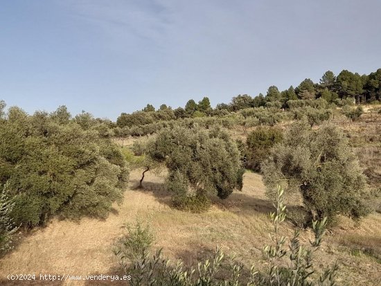 Suelo rústico en venta  en Horta de Sant Joan - Tarragona