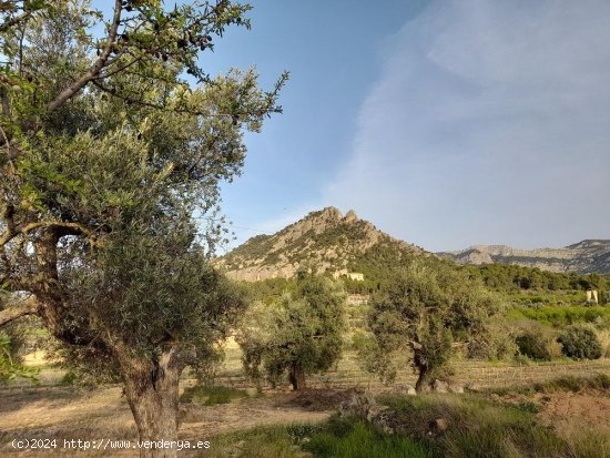 Suelo rústico en venta  en Horta de Sant Joan - Tarragona