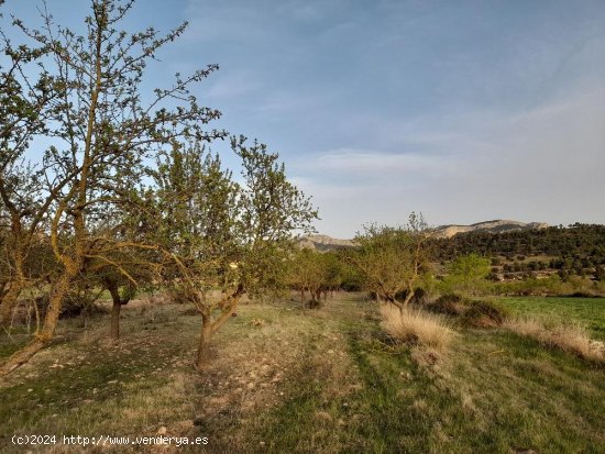 Suelo rústico en venta  en Horta de Sant Joan - Tarragona