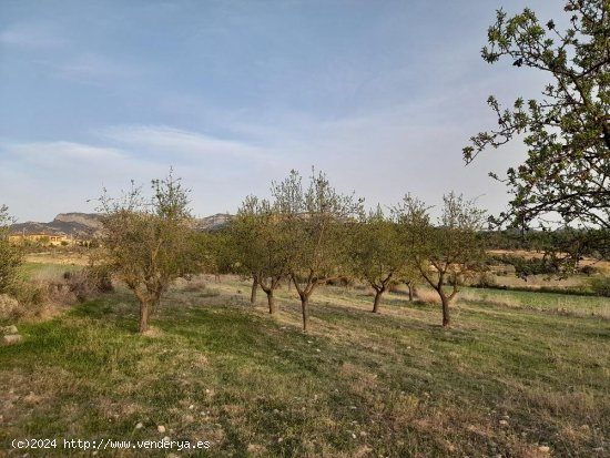 Suelo rústico en venta  en Horta de Sant Joan - Tarragona