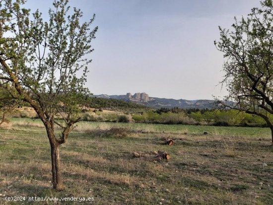 Suelo rústico en venta  en Horta de Sant Joan - Tarragona