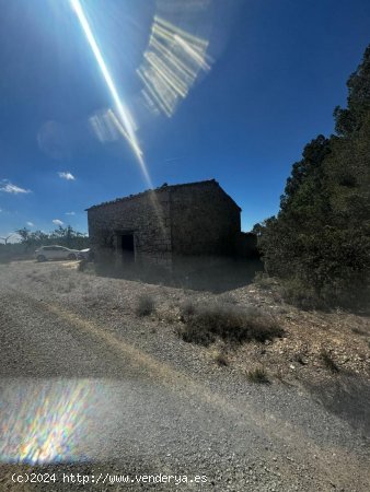 Suelo rústico en venta  en Vilalba dels Arcs - Tarragona