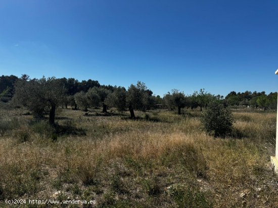 Suelo rústico en venta  en Vilalba dels Arcs - Tarragona