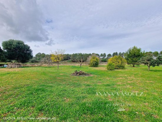 Finca rustica con vivienda y terreno en Sencelles.