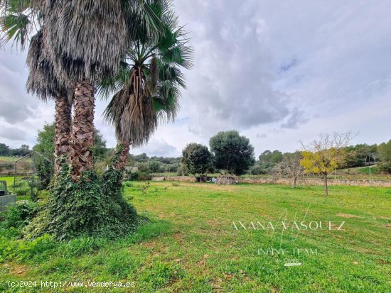 Finca rustica con vivienda y terreno en Sencelles.