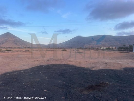 Terreno Urbano de 28.476 m² en La Oliva