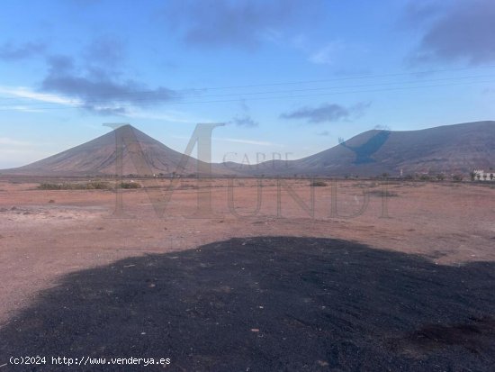 Terreno Urbano de 28.476 m² en La Oliva