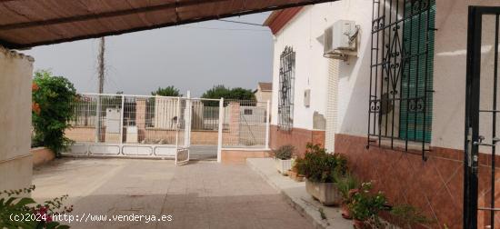 Se Vende en Orihuela - ALICANTE