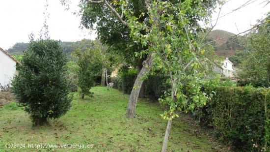 TERRENO URBANO EN PECHÓN - CANTABRIA