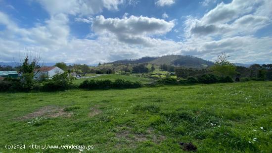 CONUNTO DE PARCELAS EN LAMADRID - CANTABRIA