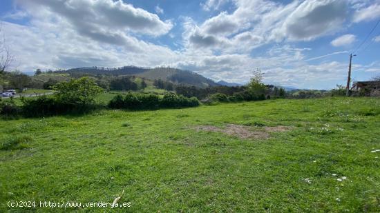 CONUNTO DE PARCELAS EN LAMADRID - CANTABRIA