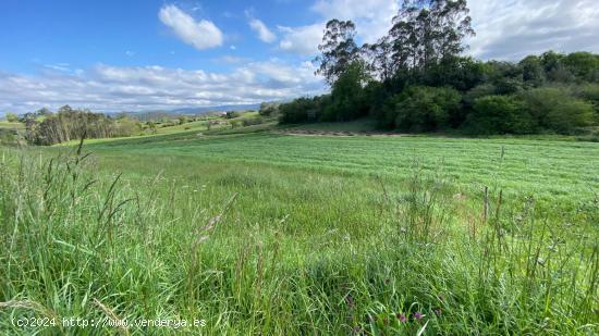 SE VENDE PARCELA RÚSTICA EN EL TEJO - CANTABRIA