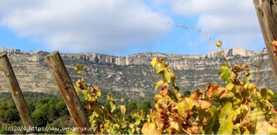  FINCAS RÚSTICAS AL PRIORAT - TARRAGONA 