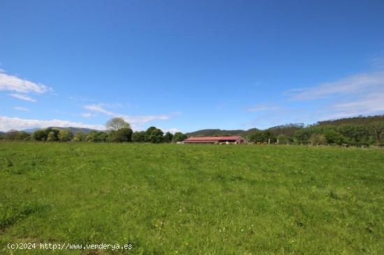 Se Vende en Mazcuerras - CANTABRIA