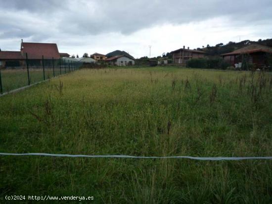 Se Vende en Barcena de Cicero - CANTABRIA