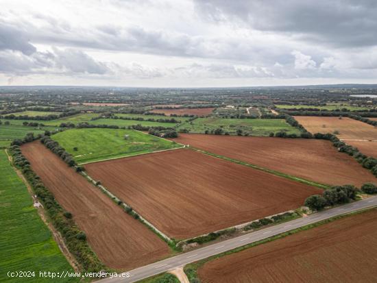 TERRENO CON PROYECTO EN FELANITX - BALEARES