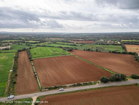 TERRENO CON PROYECTO EN FELANITX - BALEARES