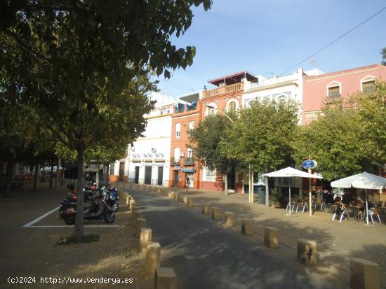  BONITO PISO CON 4 BALCONES A LA ALAMEDA DE HERCULES - SEVILLA 