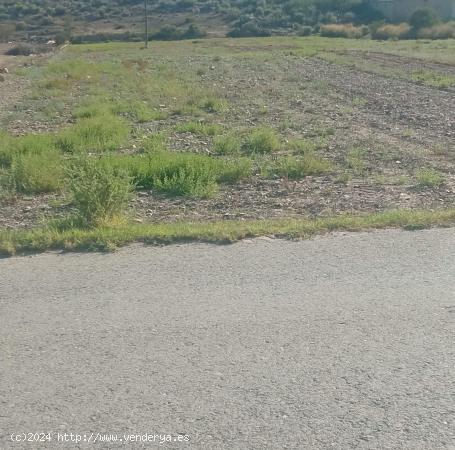 Terreno de regadío - MURCIA