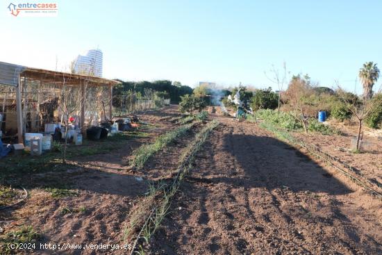 Conjunto de parcelas en Canet de Berenguer (zona gasolinera) - VALENCIA