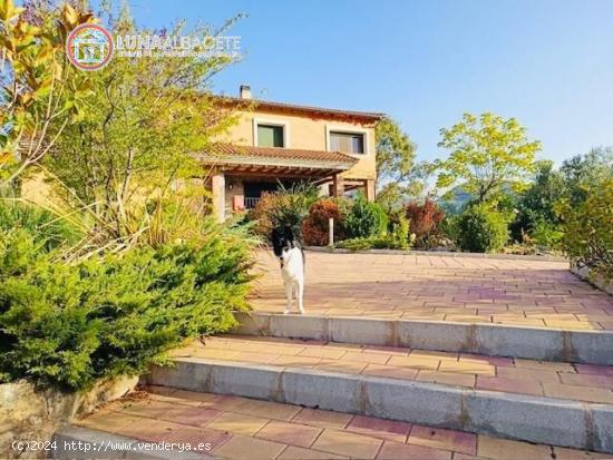 SE VENDE CHALET EN VILLAVERDE DEL GUADALIMAR CON 12.000 M2 DE TERRENO Y PISCINA - ALBACETE