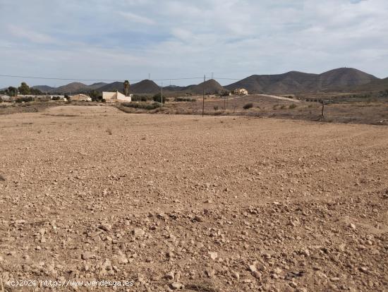 Parcela con licencia y proyecto en Lorca - Zona Purias - MURCIA