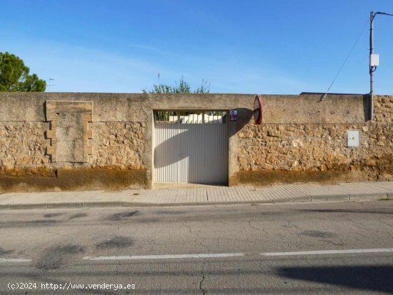 Finca en venta en Maella (Zaragoza)