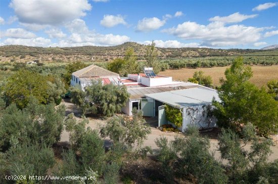 Finca en venta en Archidona (Málaga)