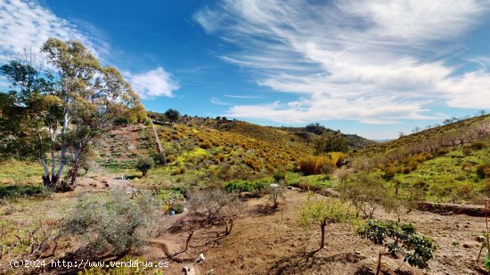 Finca en venta en Benamargosa (Málaga)