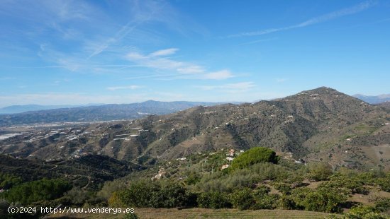 Finca en venta en Sayalonga (Málaga)