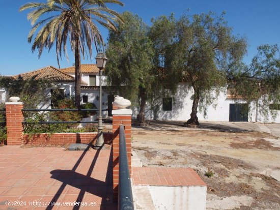 Finca en venta en Almayate (Málaga)