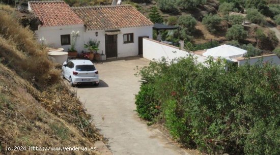 Finca en venta en Cómpeta (Málaga)