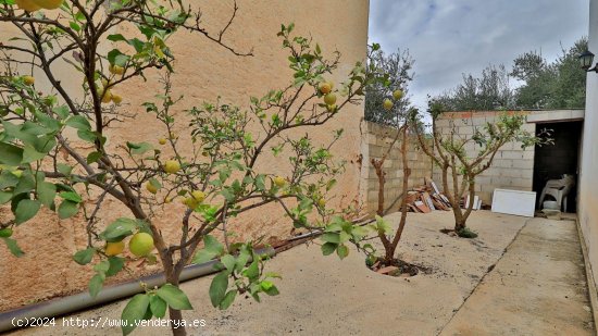 Finca en venta en Alfarnatejo (Málaga)