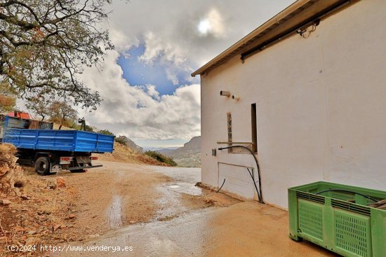 Finca en venta en Alfarnatejo (Málaga)