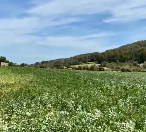  OPORTUNIDAD!! TERRENOS CON LICENCIA DE OBRA EN MALLORCA - BALEARES 