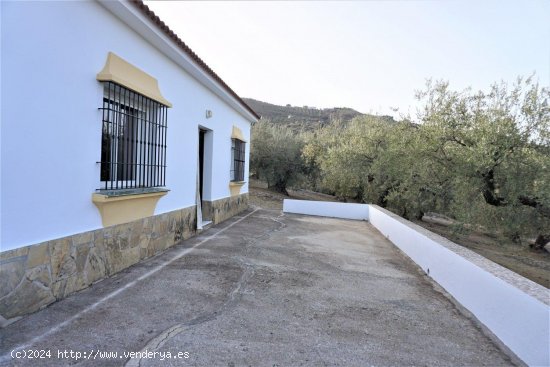 Finca en venta en Alcaucín (Málaga)