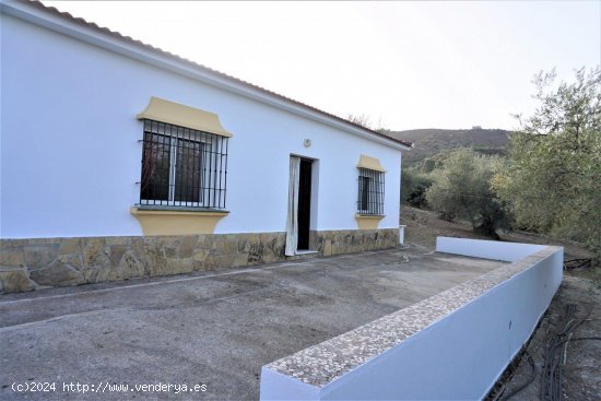 Finca en venta en Alcaucín (Málaga)