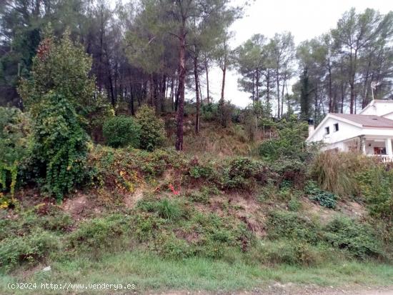  Terreno Rústico en Sant Pere de Ribes - BARCELONA 