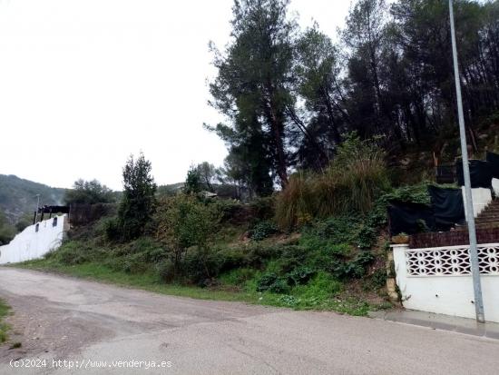 Terreno Rústico en Sant Pere de Ribes - BARCELONA