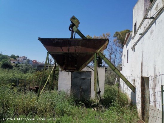 Finca en venta en Alcaucín (Málaga)