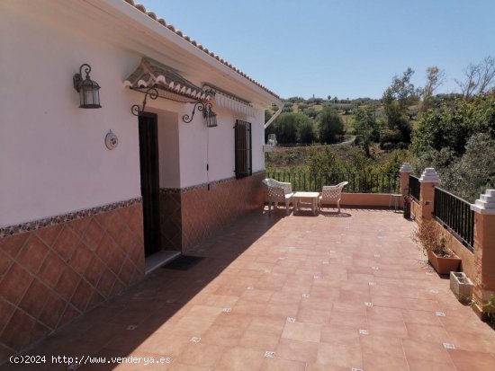 Finca en venta en Alcaucín (Málaga)