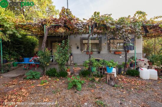 Finca Rustica en Guejar Sierra - GRANADA