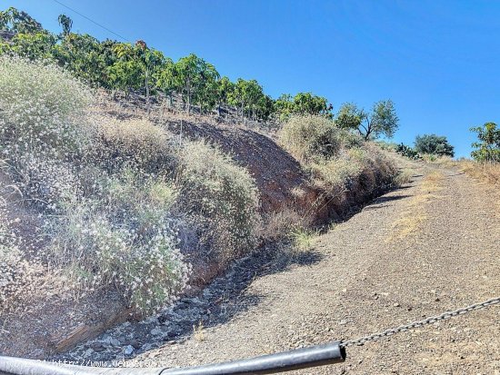 Finca en venta en Benamargosa (Málaga)