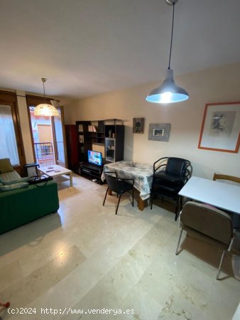 Apartamento en alquiler en Granada (Granada)