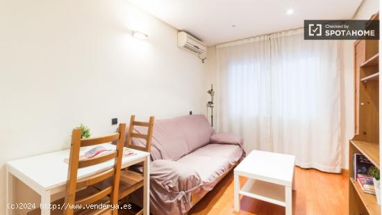 Piso de 1 habitación con baño privado en alquiler en el barrio de Salamanca, Madrid - MADRID