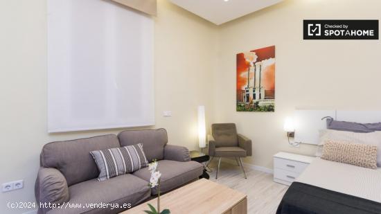 apartamento estudio bien decorado con AC en alquiler en Almagro y Trafalgar área - MADRID