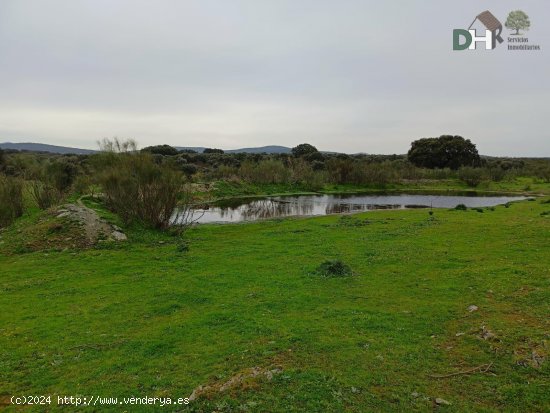 Solar en venta en Cáceres (Cáceres)