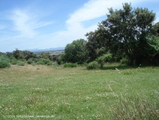 Solar en venta en Cáceres (Cáceres)