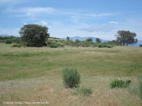 Solar en venta en Cáceres (Cáceres)